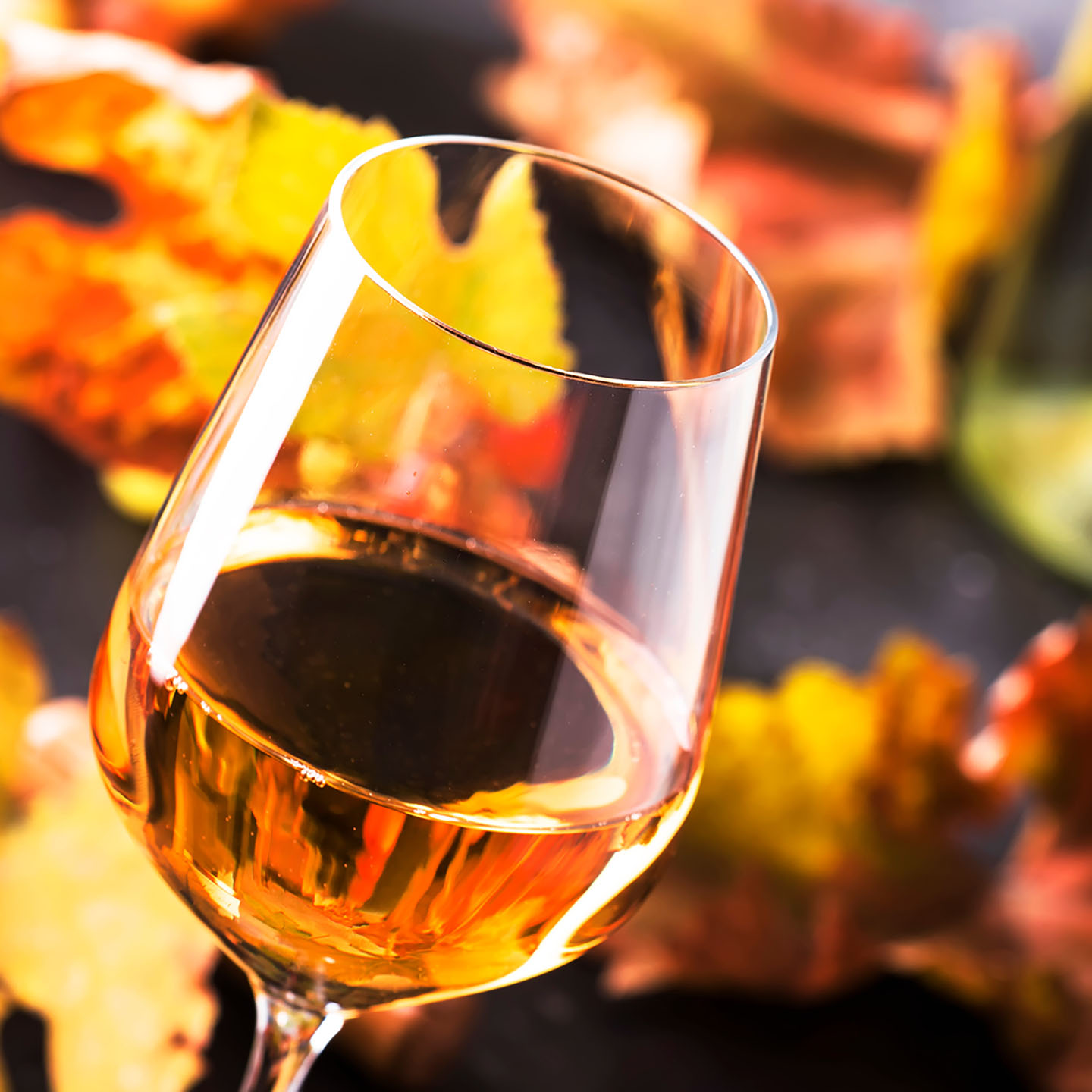 White wine glass and wine bottle on gray background with copy space
